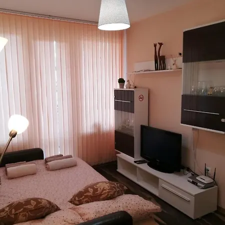 Fancy Apartment